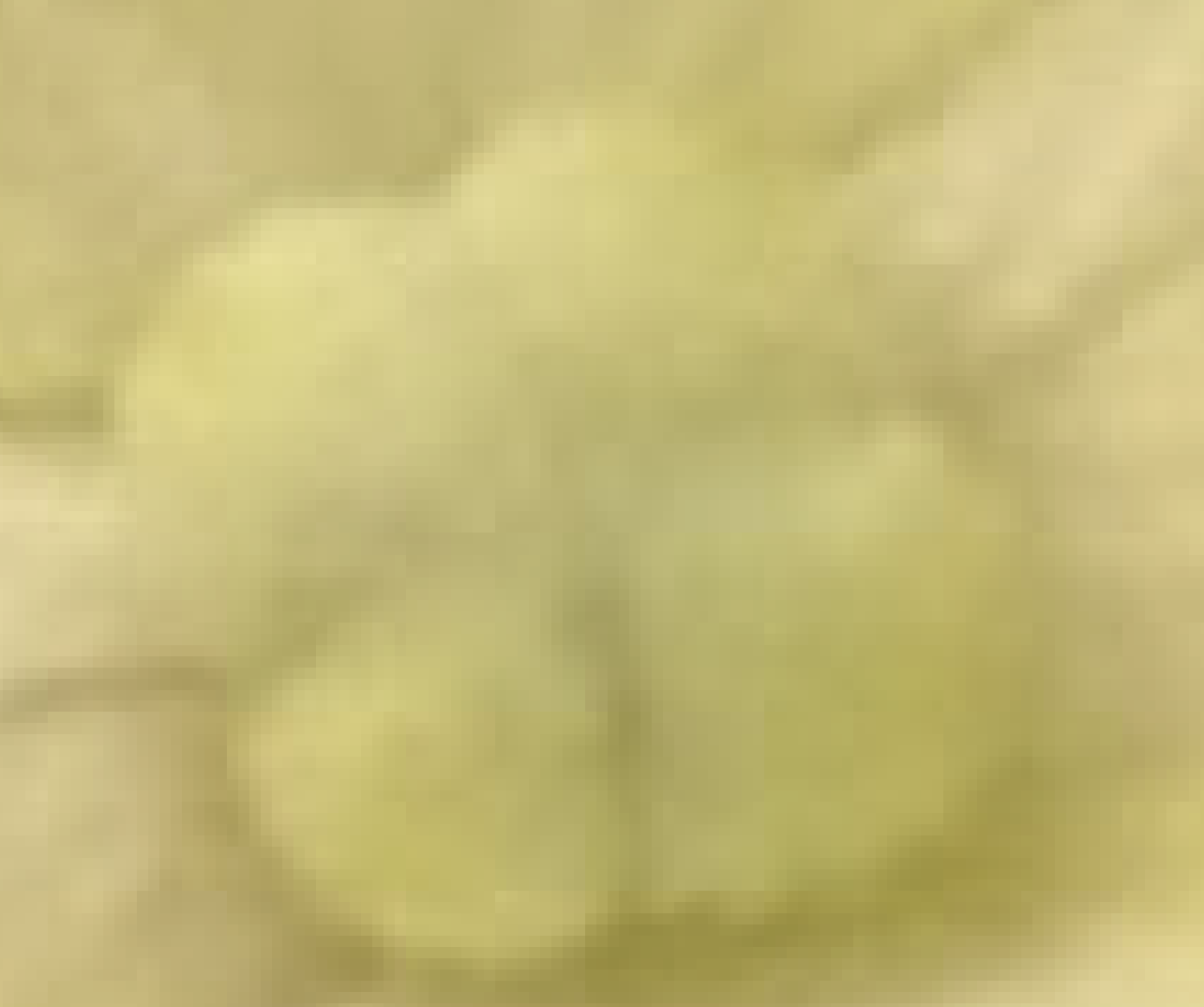 jpg truecolor image