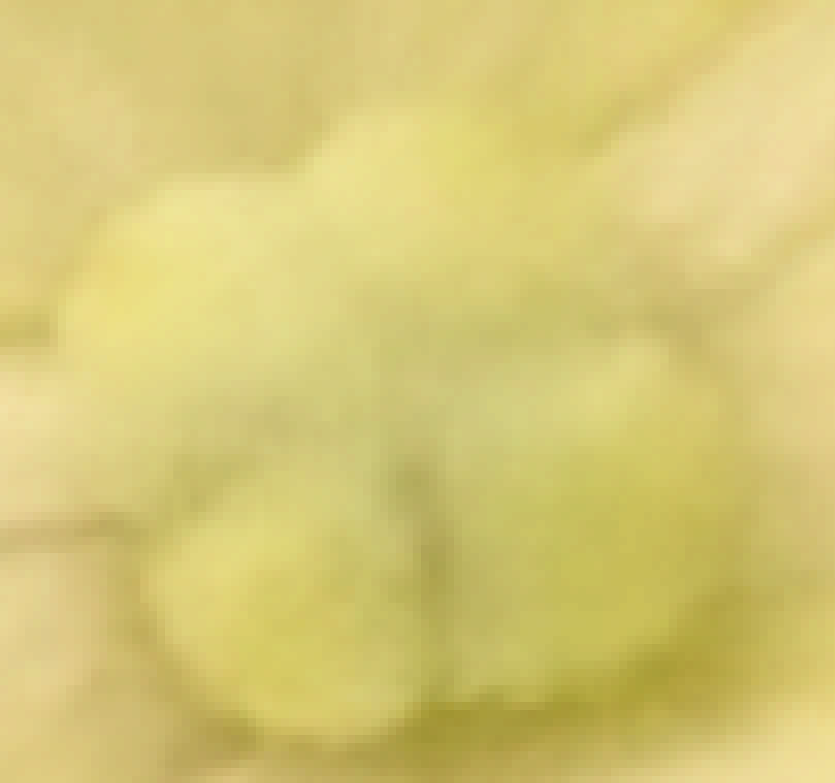 png truecolor image