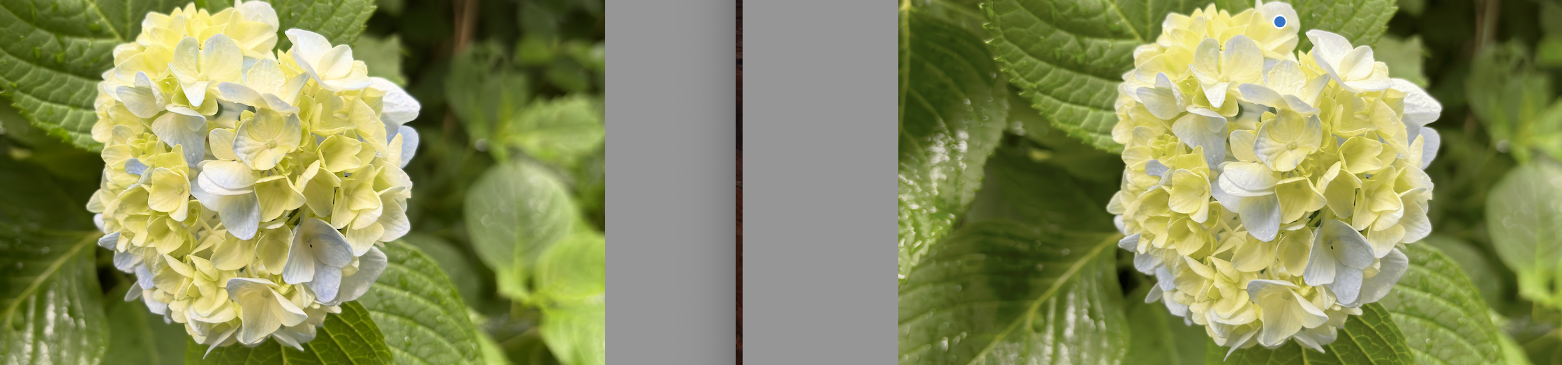 png loss compress example