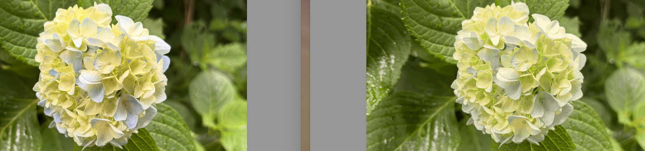 png palette mode vs jpg