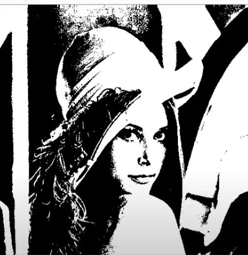 Pure Black and White Image