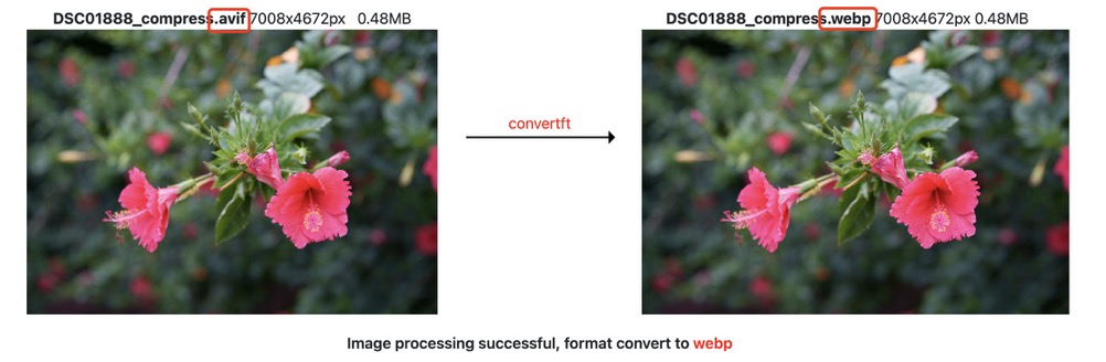 avif to webp example