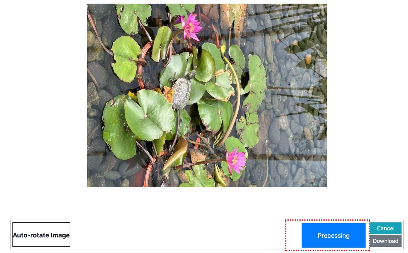 adjusting settings for auto rotate image