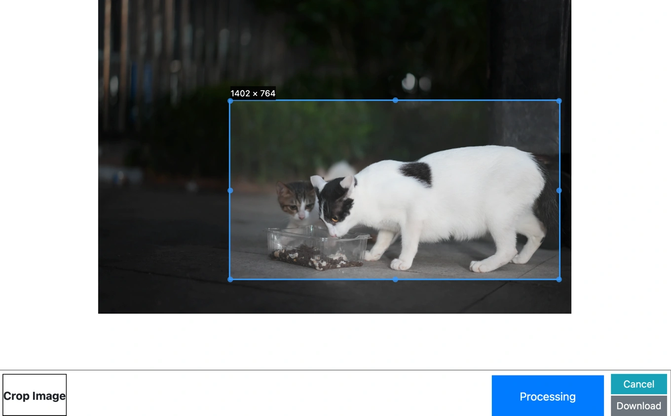 edit the settings for circle crop image