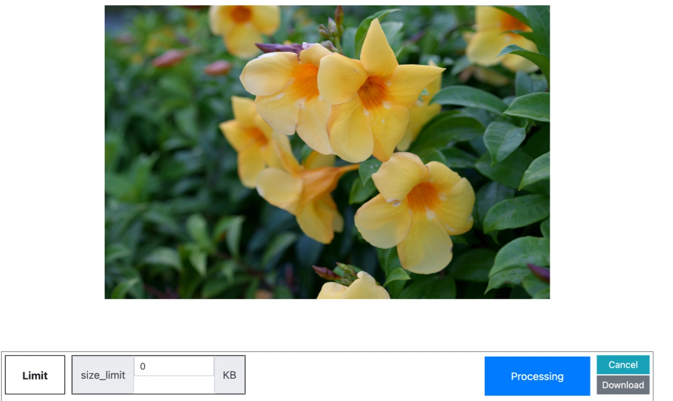 edit the Settings for reducing image size