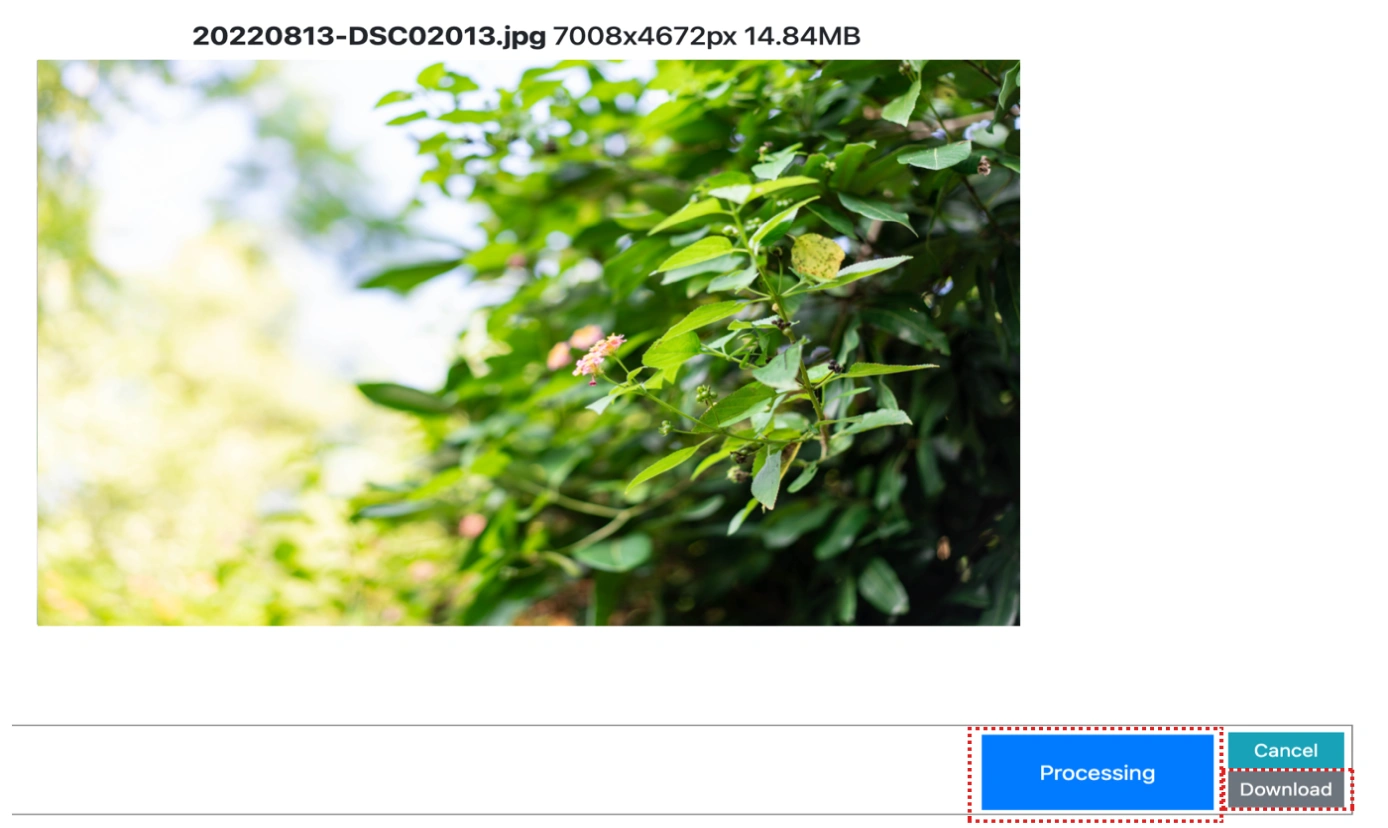 edit the settings for removing image EXIF