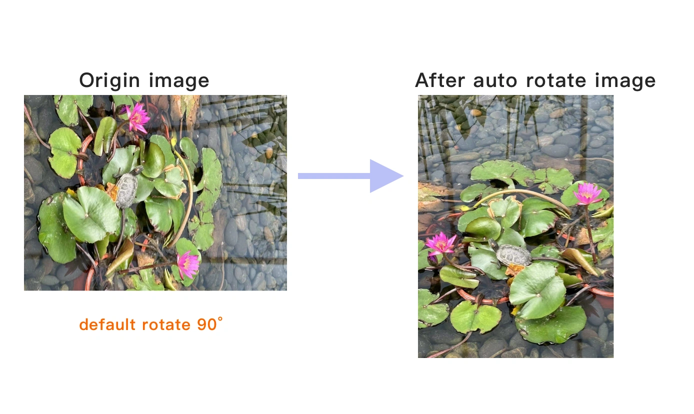 Viewing the auto rotated image