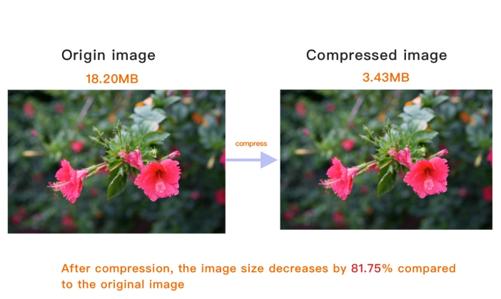  Viewing  compressed image