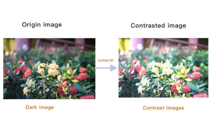 Viewing the contrasted image