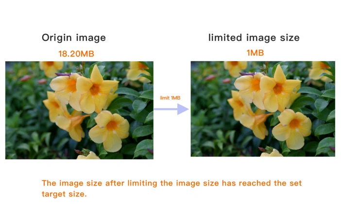  Viewing  reduced size image