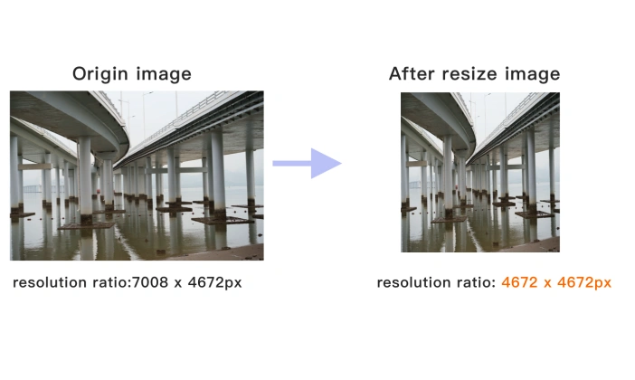 Viewing the resized image.