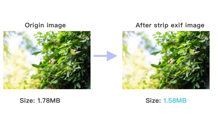 View the removed EXIF image